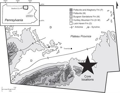 Remagnetization of Marcellus Formation in the Plateau Province of the Appalachian Basin